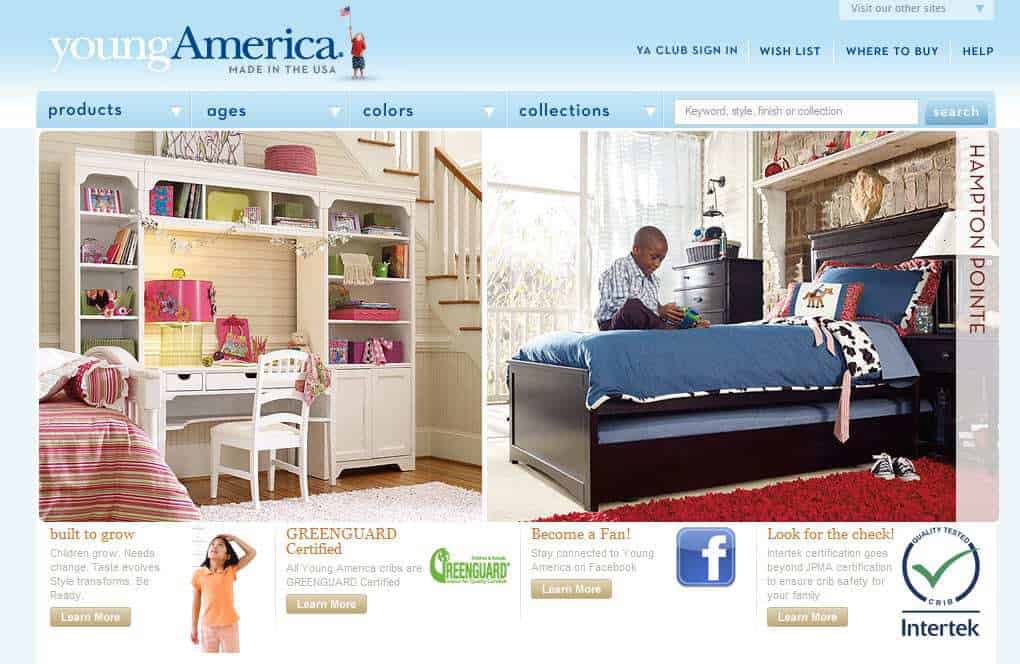 Snap Shot of Young America's Website
