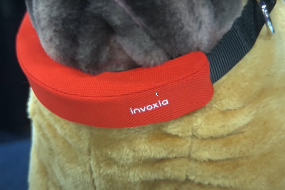 CES 2022: Invoxia Smart Dog Collar is a fitness tracker for your pet